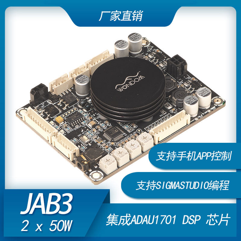 2X50W Class D Audio Power Amplifier with D Sp Electronic Frequency Division Support Sigmastu D Io Programming