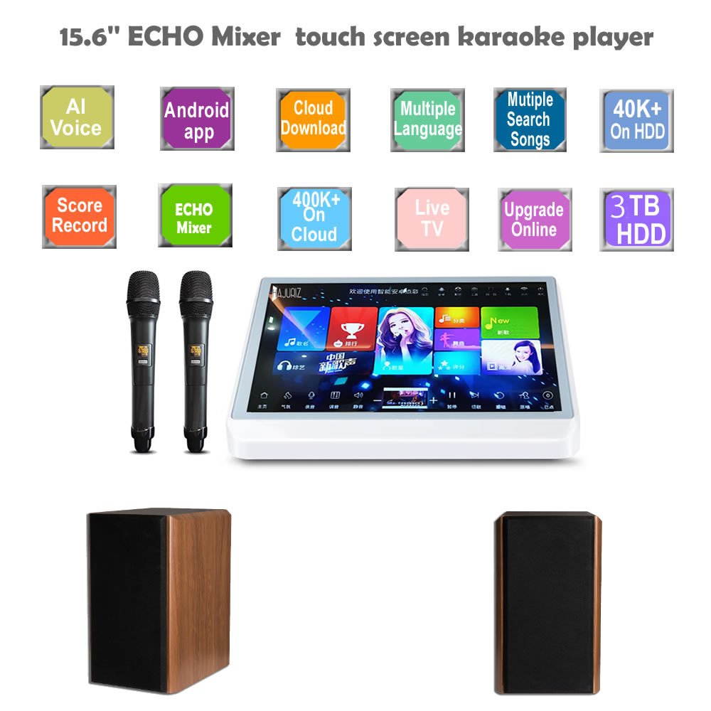 karaoke system,15.6'' All in one Touch screen karaoke machine +Music speaker+Wireless microphone,3TB HDD With 60K Chinese,English songs,400K Multi-Language songs on cloud