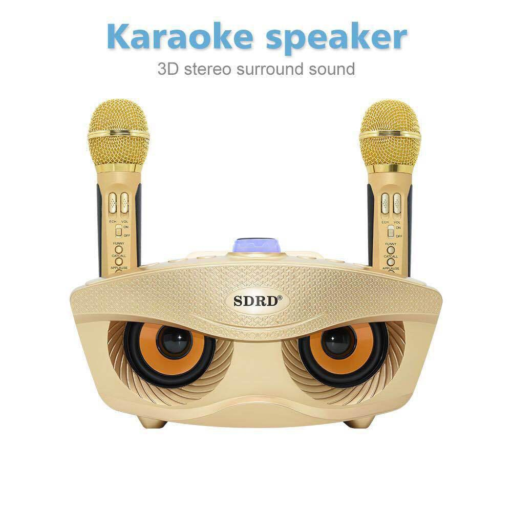 SD306 Plus Dual Bluetooth Speaker With 2 Wireless Microphones Outdoor Family KTV Stereo Mic Big Sound 20W SDRD Speaker Set