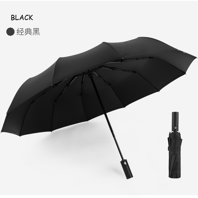 12 Ribs Automatic Umbrella / Large Umbrella / Auto Open Close